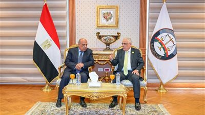 النائب العام ووزير الكهرباء يشهدان توقيع بروتوكول لتأهيل الكوادر القانونية ومأموري الضبط 