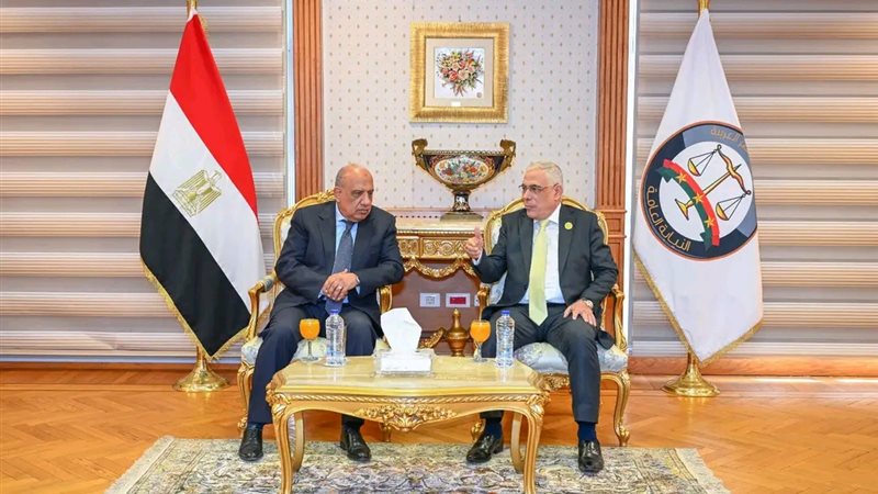 النائب العام ووزير الكهرباء