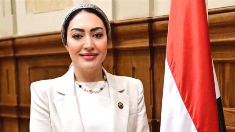 النائبة أسماء الجمال،عضو لجنة العلاقات الخارجية بمجلس النواب