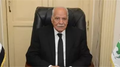 برلماني : وحدة الصف العربي ضرورة لمواجهة التصعيد وحماية الأمن القومي