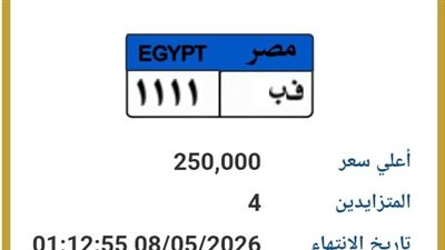 ارتفاع سعر لوحة «ف ب 1111» إلى ربع مليون جنيه في مزاد المرور