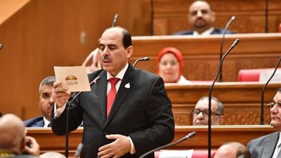 النائب زكريا حسان: زيارة الرئيس السيسي للخليج تؤكد ريادة مصر لدعم استقرار المنطقة