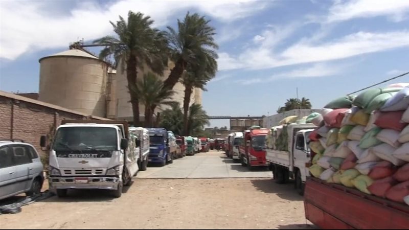 سوهاج 