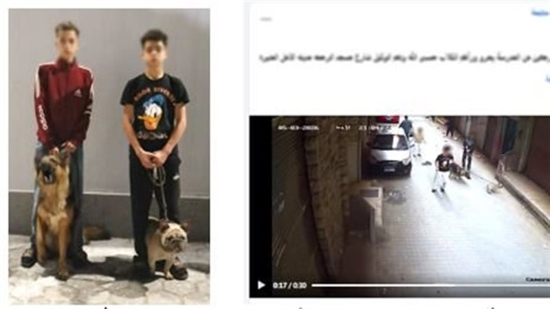 المتهمين 