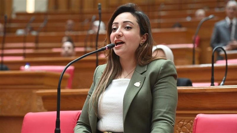 كريستينا عادل عضو مجلس النواب