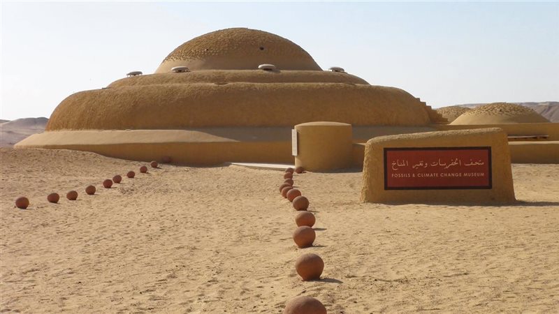 وادي الحيتان 