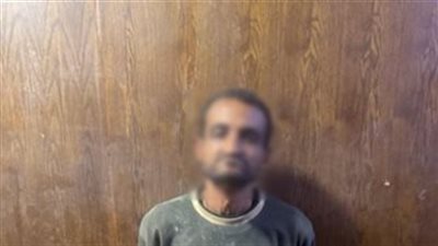 بعد ظهوره بسلوك خادش للحياء.. عاطل في إمبابة يواجه هذه العقوبة بالقانون