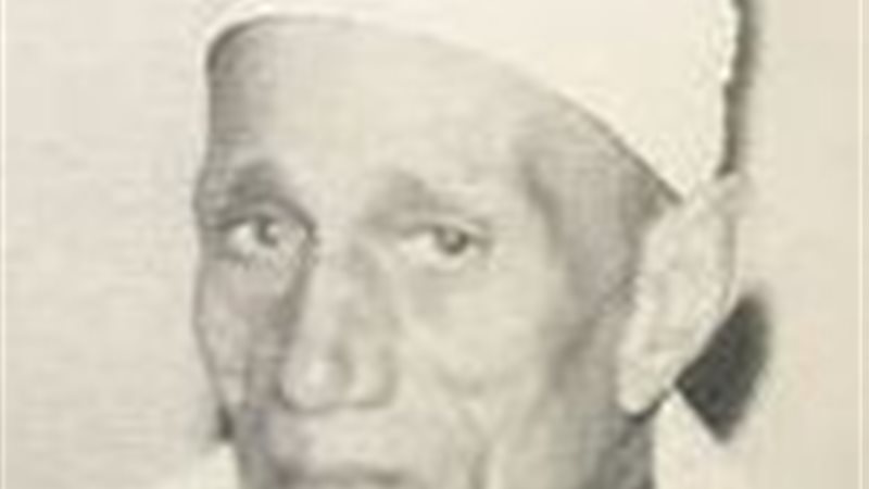 الشيخ محمد الجرزاوي 