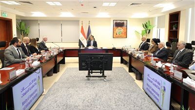 وزير الاتصالات وإريكسون يبحثان توسيع الأعمال ودعم التحول الرقمي في مصر