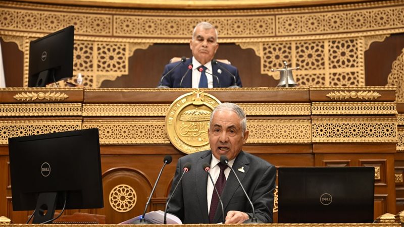 وكيل مجلس الشيوخ