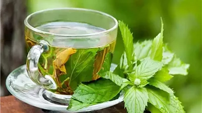 فوائد مذهلة لشاي النعناع بعد تناول العشاء.. تعرف عليها 