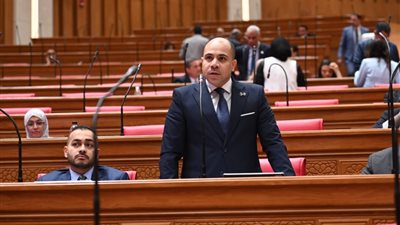 برلماني يتقدم بطلبَي إحاطة لوزير الثقافة بشأن تدهور وإغلاق بيوت الثقافة ببولاق الدكرور