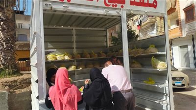 محافظ الدقهلية يعلن بدء تشغيل منافذ جديدة لبيع الخبز المدعم