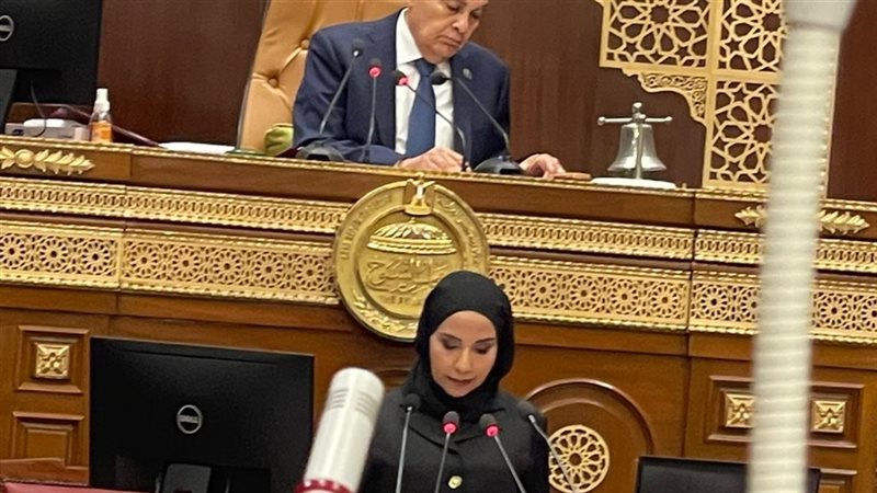 مجلس الشيوخ