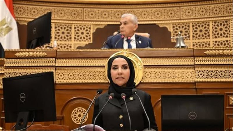  النائبة ولاء هرماس