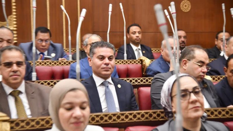 النائب مجدي البري 