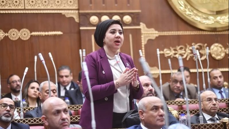  النائبة أميرة صابر