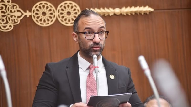 النائب أحمد الحمامصي