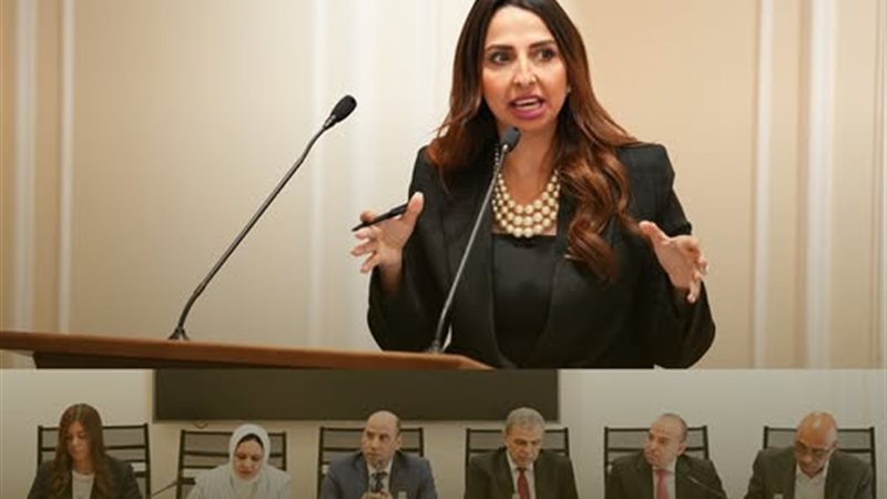 المناقشة