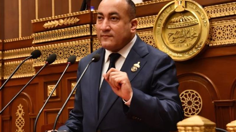 عمرو رشاد 