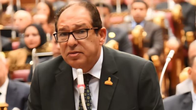 حسام الخولي 