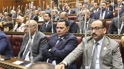 عضو بالشيوخ: تقييم المدارس اليابانية خطوة مهمة لتطوير التعليم