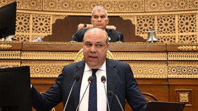 وزير الطيران: خطة متكاملة تستهدف لمضاعفة الربحية وزيادة الأسطول إلى 170 طائرة