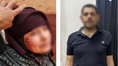 اعتدى على زوجته وحماته بسلاح أبيض.. وضبطه بعد تداول فيديو بالمنوفية
