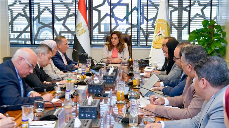 التنمية المحلية 