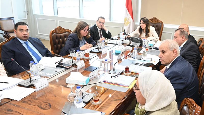 مي عبد الحميد خلال اجتماع وزيرة الإسكان