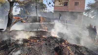 نيران تلتهم حظيرة مواشي بالزرقا بدمياط .. نفوق 3 رؤوس