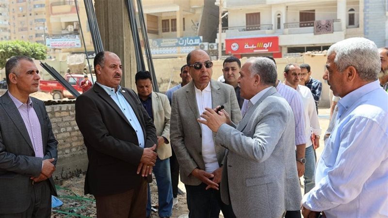 محافظ المنيا