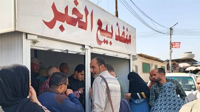 الدقهلية 