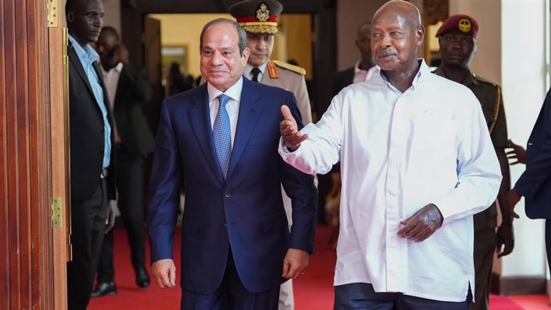 جانب من الاستقبال 