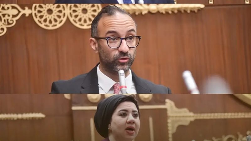 نواب تنسيقية شباب الأحزاب والسياسيين 