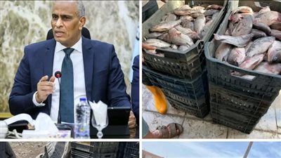 محافظ كفرالشيخ: ضبط طن و425 كجم من الأسماك غير الصالحة للاستهلاك الآدمي