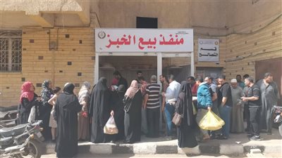 محافظ الدقهلية يؤكد انتظام صرف حصص الخبز المدعم في 23 منفذ بالمراكز والمدن