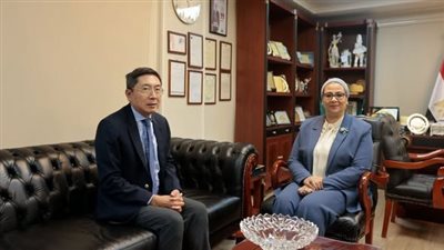 لبحث سبل التعاون.. رئيسة القومي للمرأة تستقبل سفير سنغافورة  