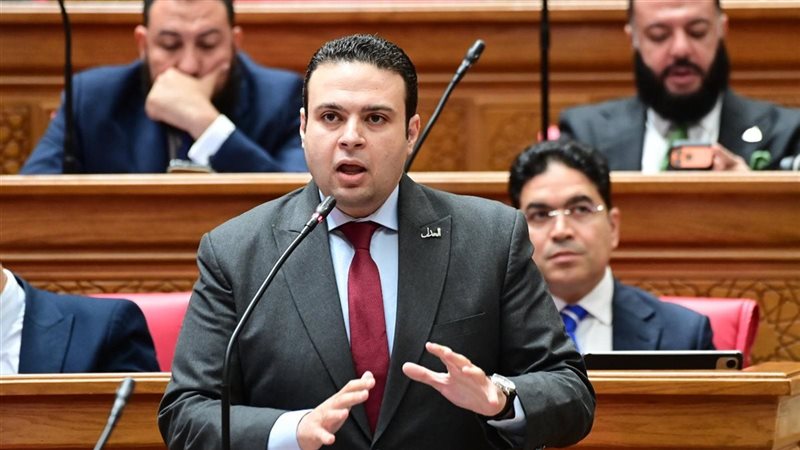 النائب عبد المنعم إمام