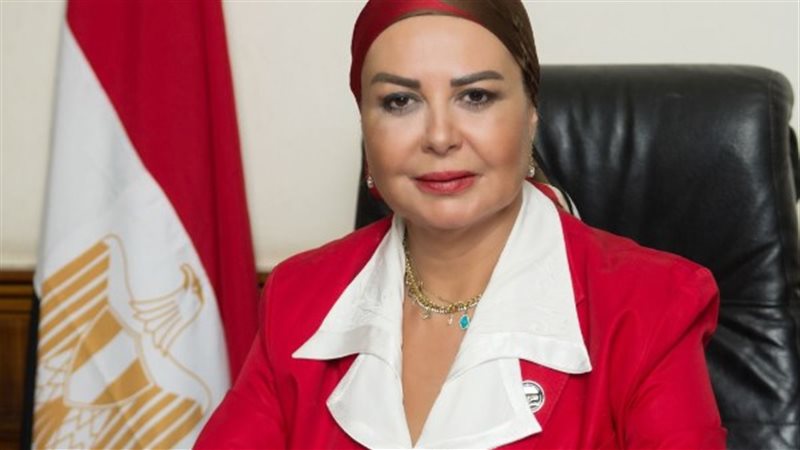 أمل سلامة عضو مجلس النواب السابقة