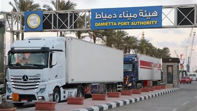نشاط ملحوظ في حركة الترانزيت عبر خط الرورو بميناء دمياط