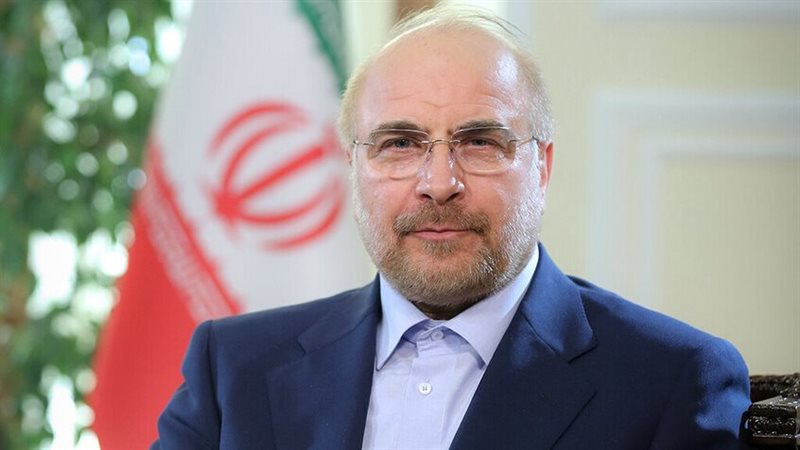 رئيس مجلس الشورى الإيراني