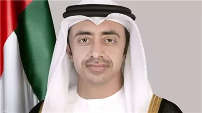 وزير الخارجية الإماراتي يدين الاعتداء الإرهابي على محطة براكة النووية ويؤكد حق الرد