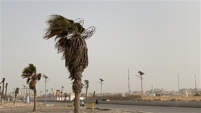الأرصاد تكشف عن الظواهر الجوية المتوقعة من الثلاثاء إلى السبت 