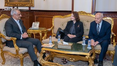 جمبلاط يبحث مع خبير دولي أوجه تعظيم الاستفادة من الطاقة الشمسية الحرارية