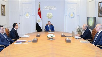 الرئيس السيسي يبحث مع رئيس الوزراء ووزير الكهرباء زيادة الاعتماد على الطاقة المتجددة