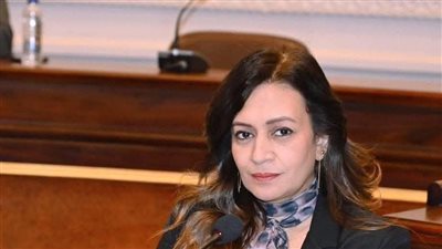 «الشيوخ» يوافق على مقترحي نفين فارس بشأن حافز المعلمين