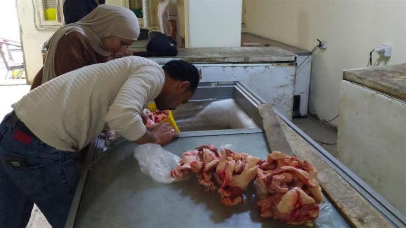 ضبط دهون وهوالك لحوم فاسدة في بورسعيد 