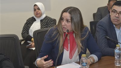 النائبة لبنى عبد العزيز تشارك في مناقشة ميزانيات الهيئات الإعلامية بمجلس النواب