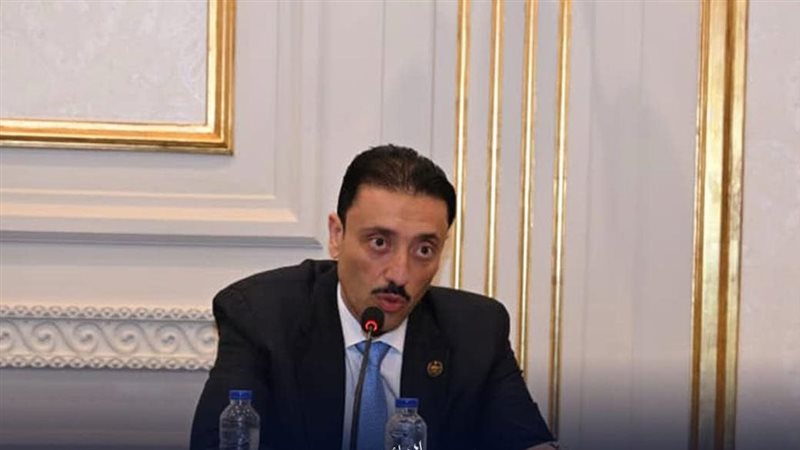 النائب محمد رزق خلال كلمته باللجنة